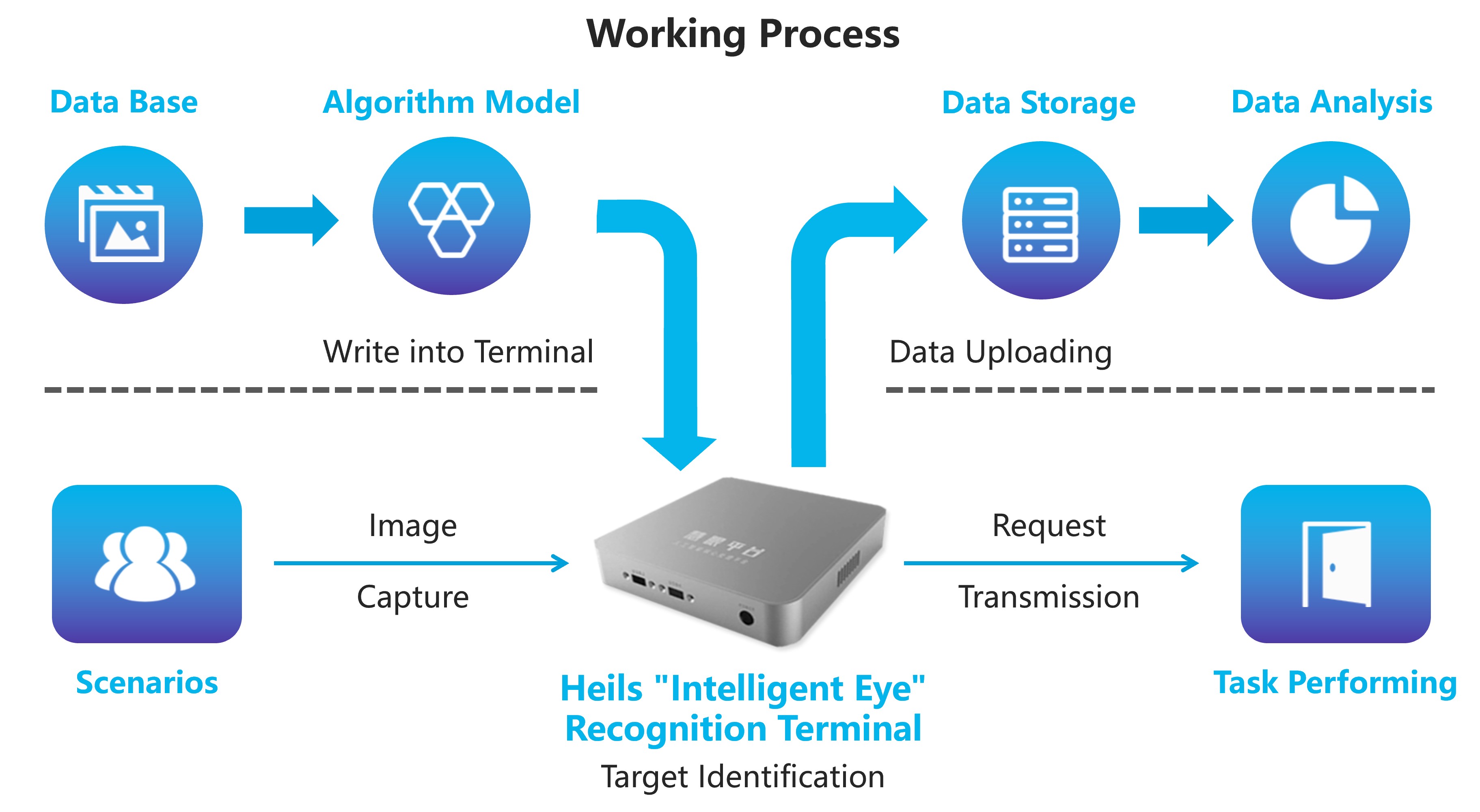 Cloud+Client Workflow