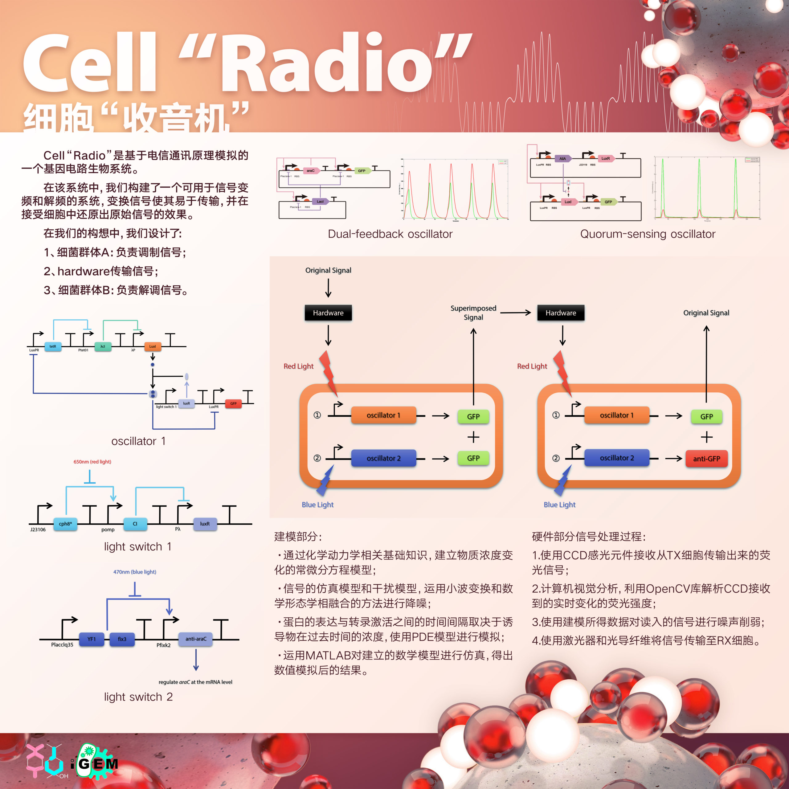 Cell Radio Design