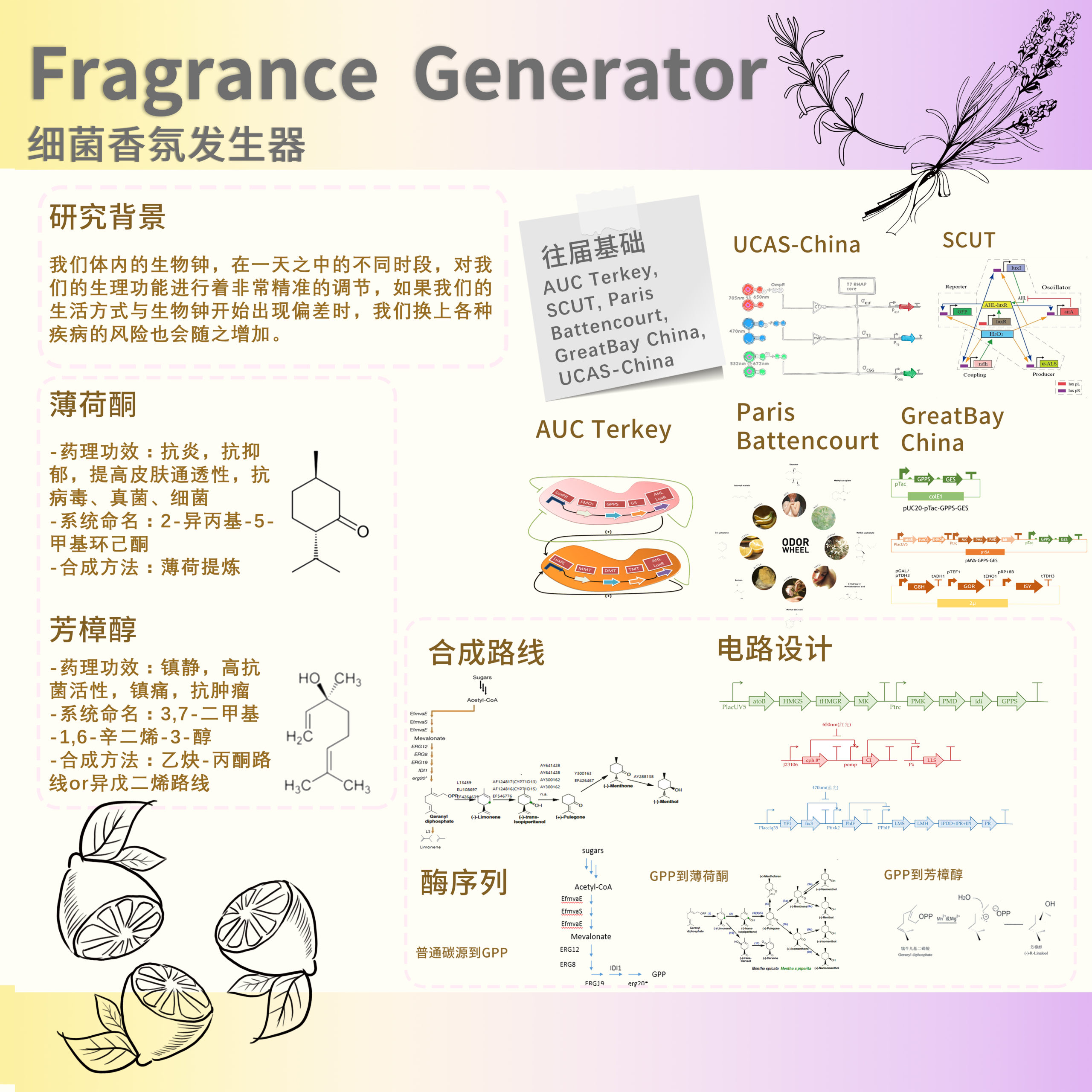 Fragrance Generator Device